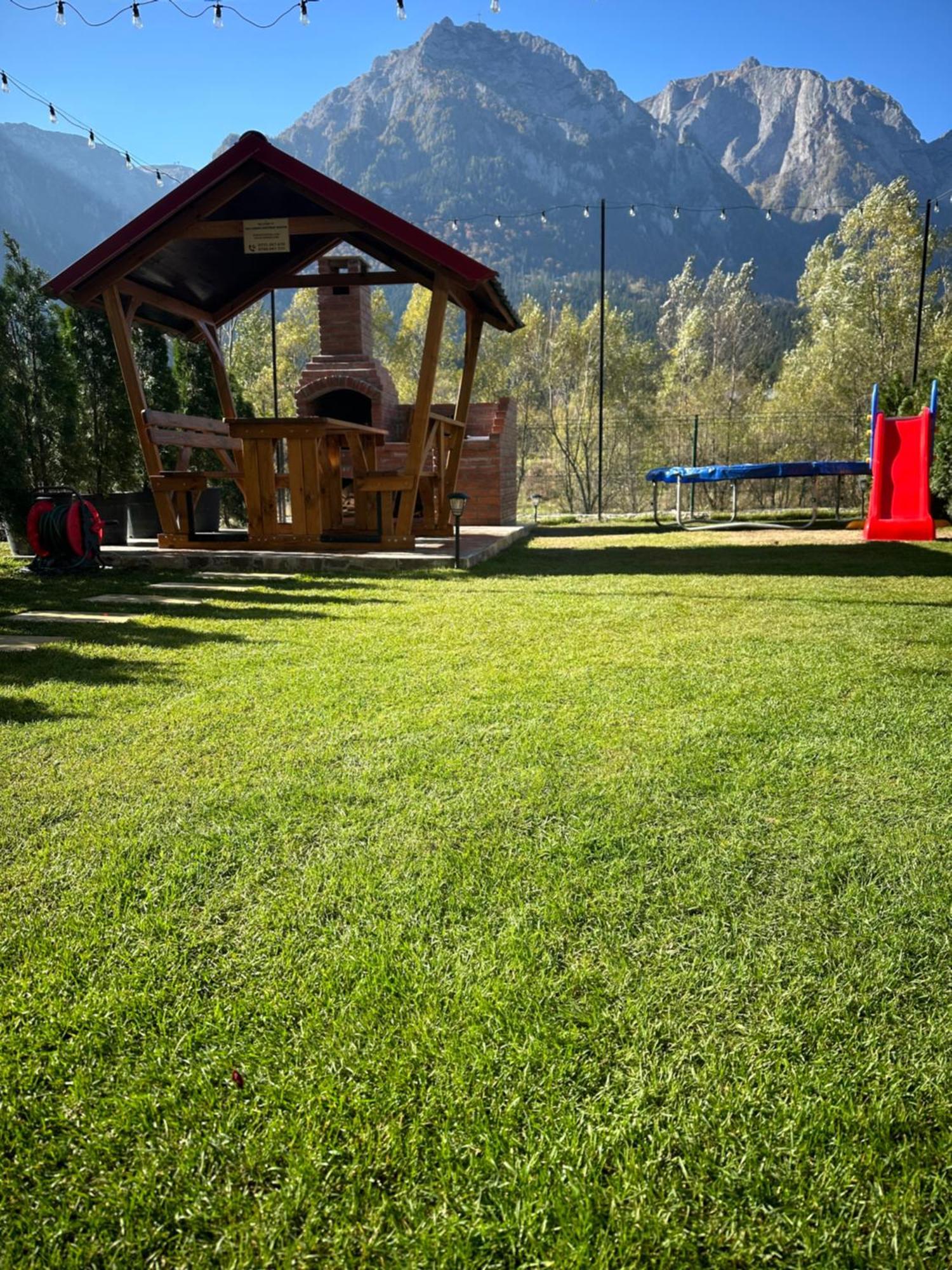 Ama Garden Apartment Buşteni Zewnętrze zdjęcie